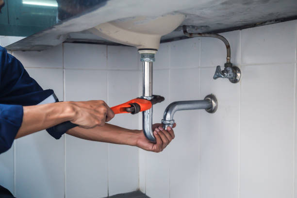 Best Plumbing Inspection Services  in Troy, TN