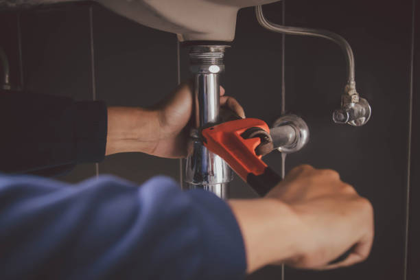 Best Local Plumber Services  in Troy, TN
