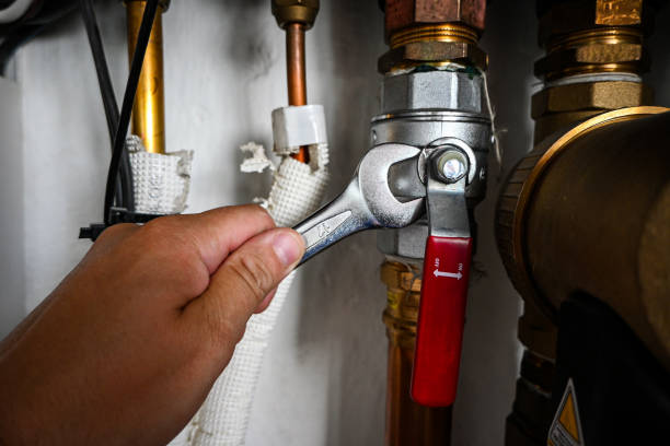 Best Clogged Drain Plumber  in Troy, TN